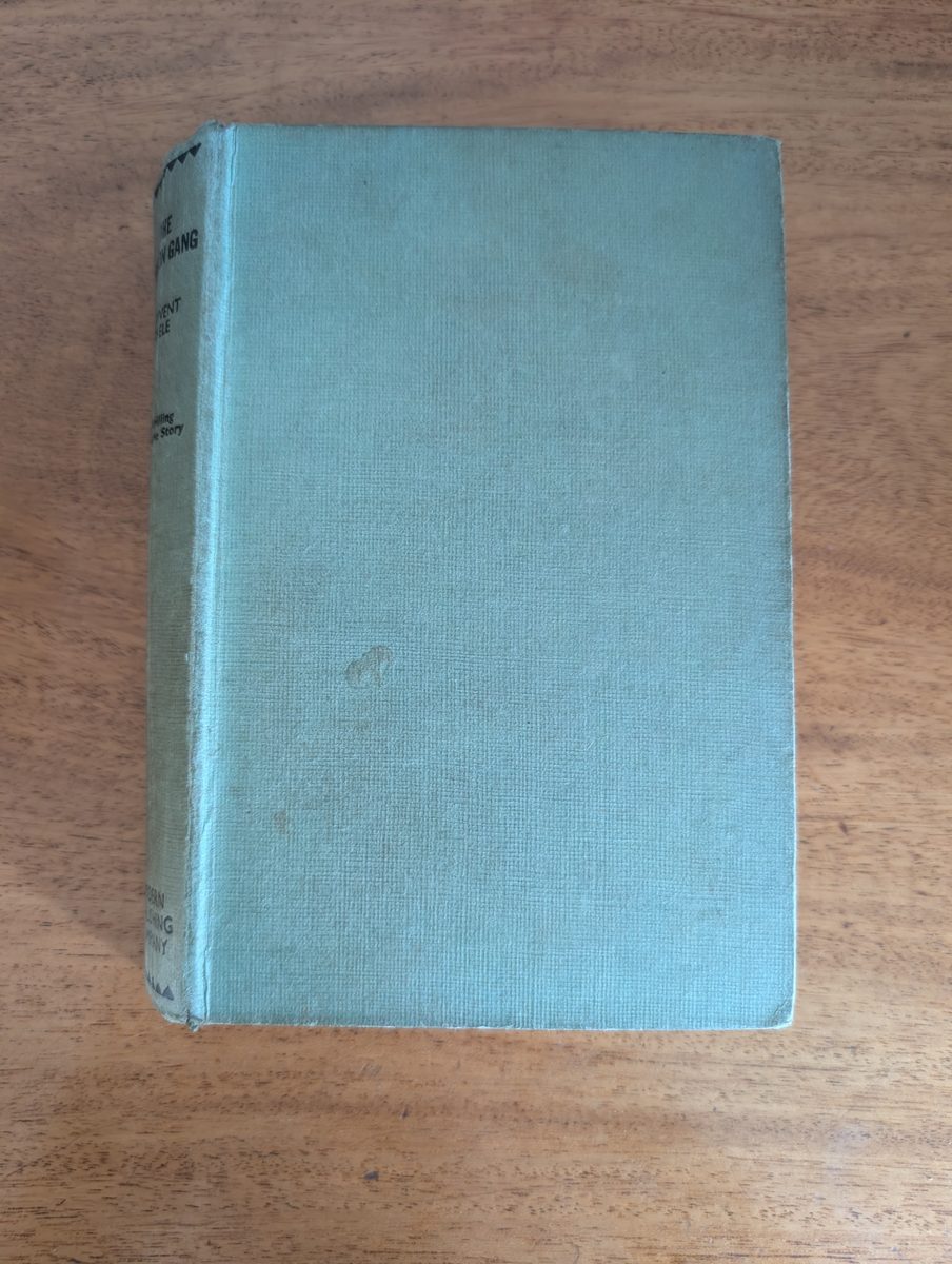 Front board of The Poison Gang by Derwen Steele, vintage hardback