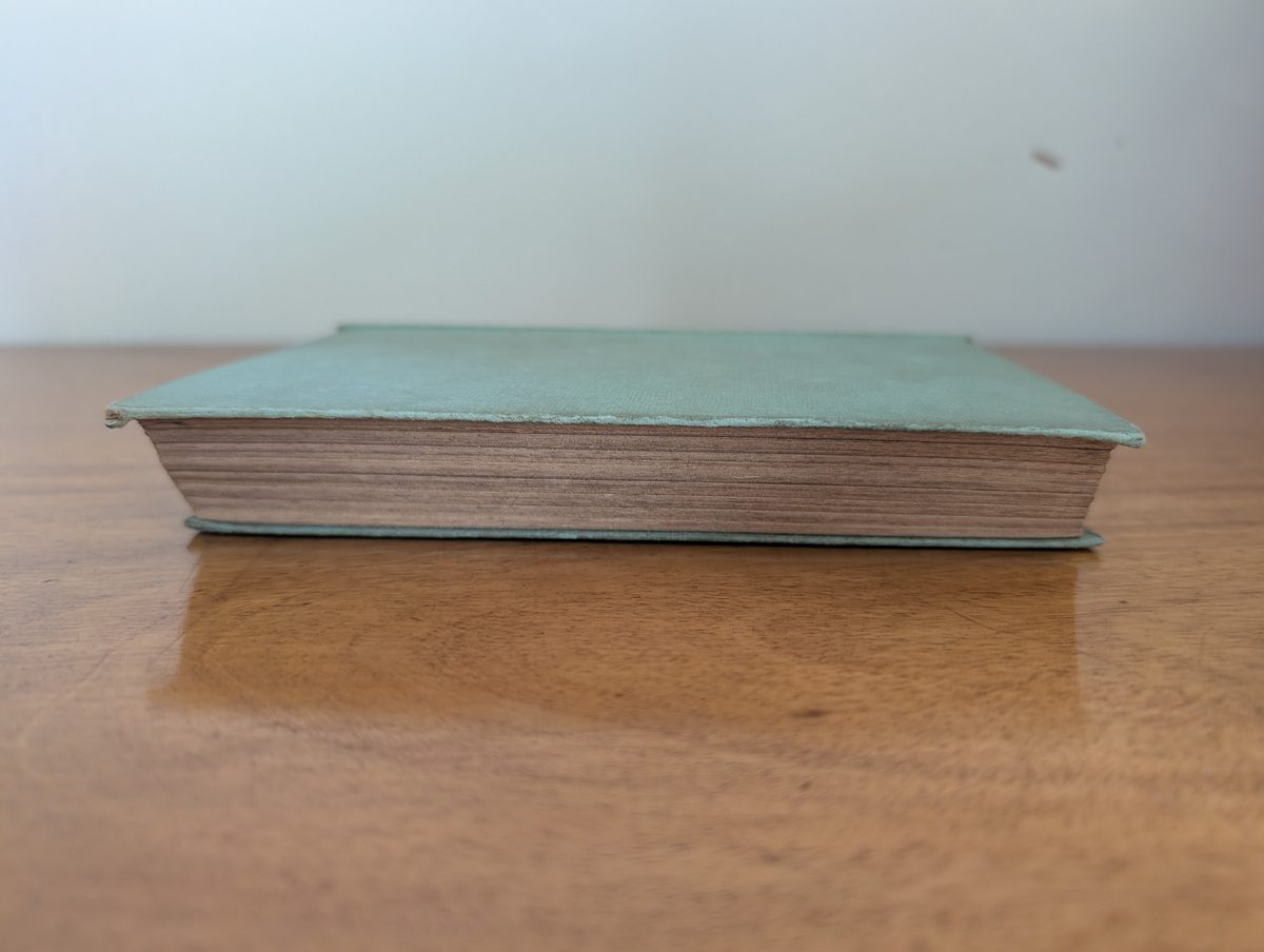 Spine of The Poison Gang by Derwen Steele